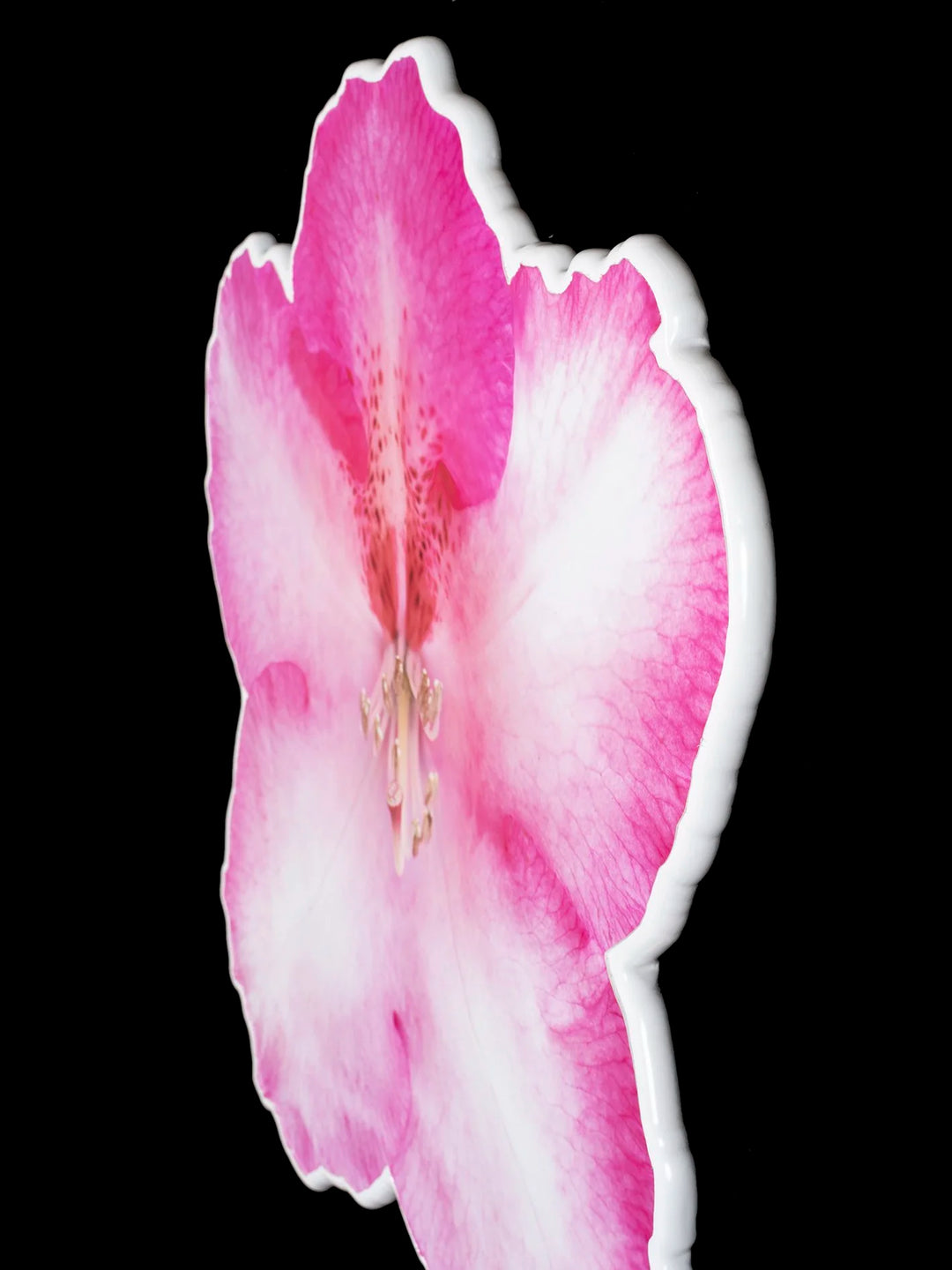 Floral photo sculpture wall art by Rory Fink – bloom-inspired shaped piece detailed closeup 1