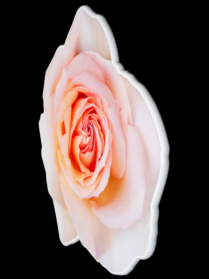 Floral rose photo sculpture wall art by Rory Fink – bloom-inspired shaped close up detail 1