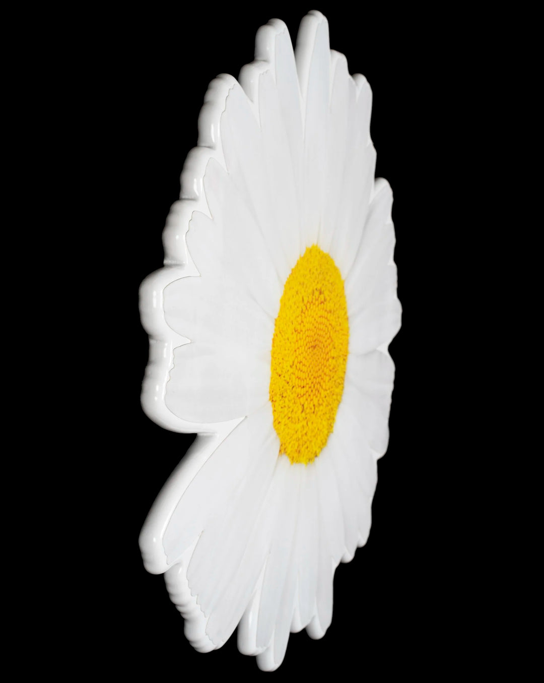 Floral daisy photo sculpture wall art by Rory Fink – bloom-inspired shaped piece close up detail 1