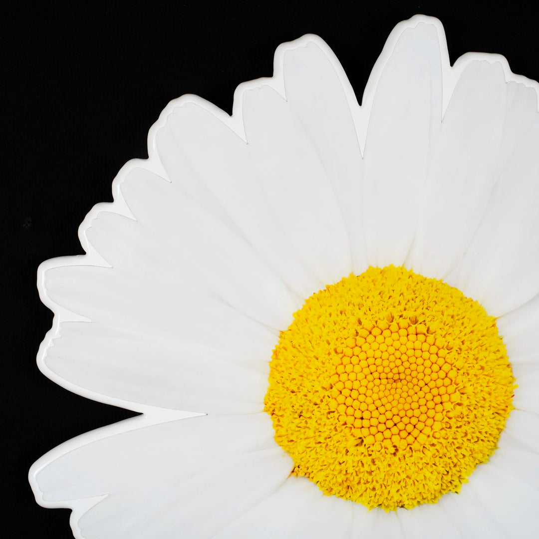 Floral daisy photo sculpture wall art by Rory Fink – bloom-inspired shaped piece close up detail 2