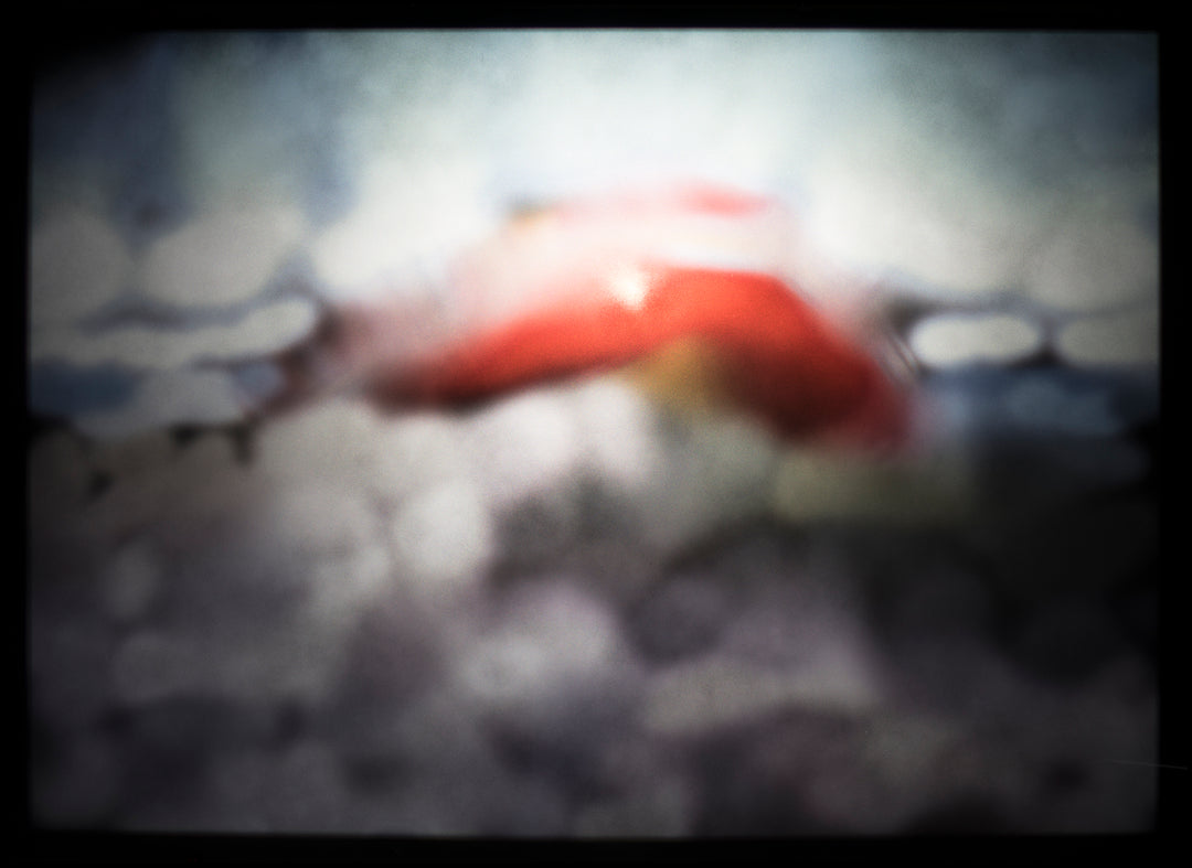 Ocean Rescue - Print | Original Art Print By Rory Fink image only