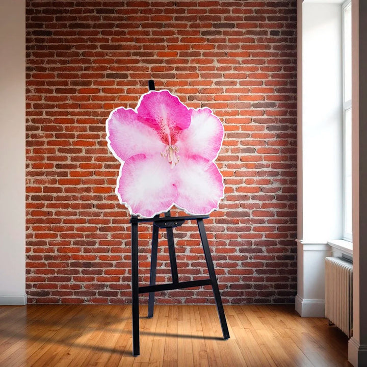 Floral photo sculpture wall art by Rory Fink – bloom-inspired shaped piece sitting on easel