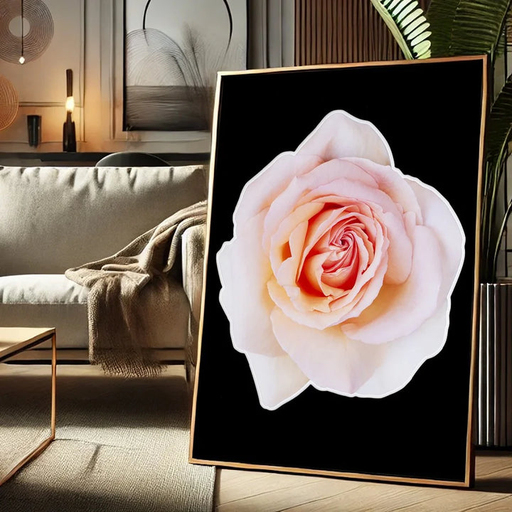 Peach Rose - Limited Edition - Archival Print
